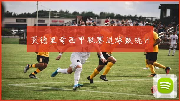 莫德里奇西甲联赛进球数统计