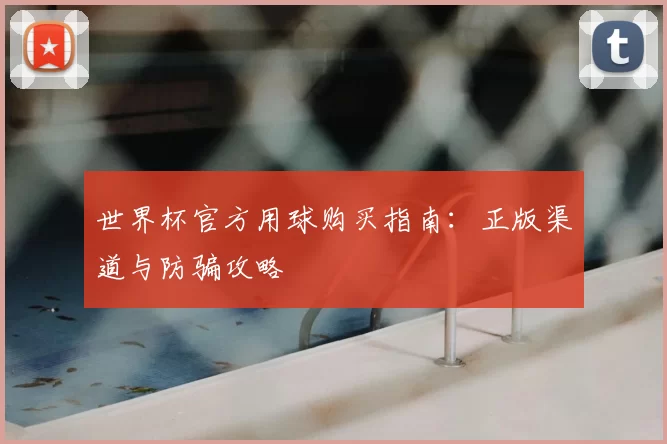 世界杯官方用球购买指南:正版渠道与防骗攻略