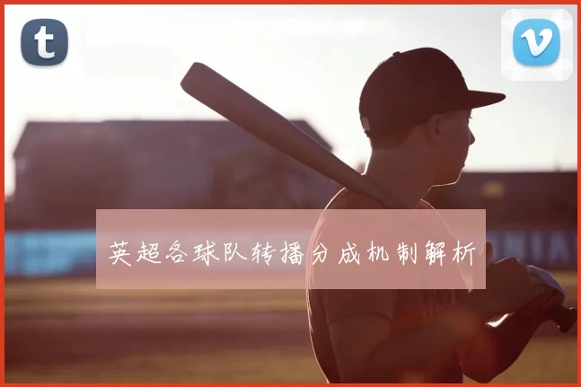 英超各球队转播分成机制解析