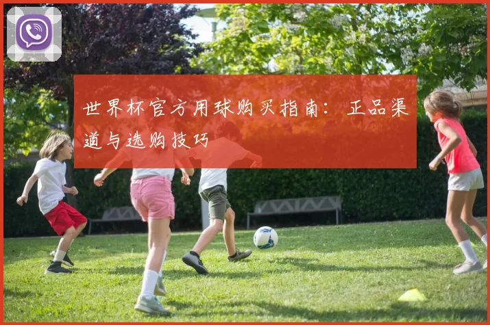 世界杯官方用球购买指南:正品渠道与选购技巧