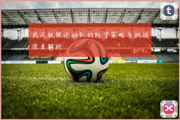 武汉极限运动队的防守策略与挑战深度解析