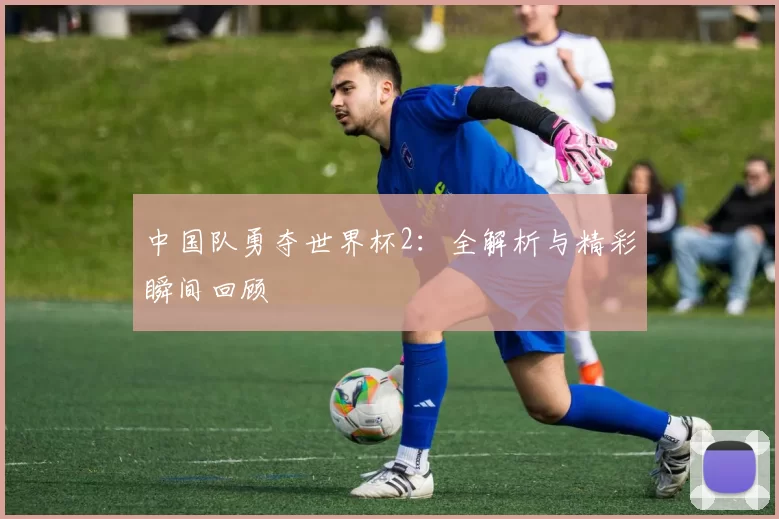 中国队勇夺世界杯2：全解析与精彩瞬间回顾