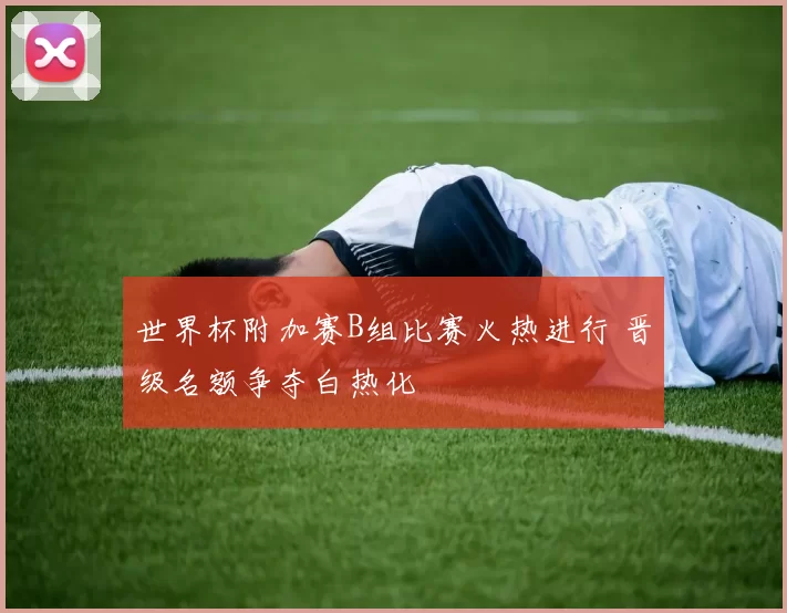 世界杯附加赛B组比赛火热进行 晋级名额争夺白热化