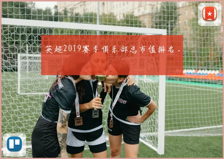 英超2019赛季俱乐部总市值排名 .