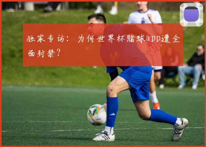 独家专访:为何世界杯赌球app遭全面封禁?