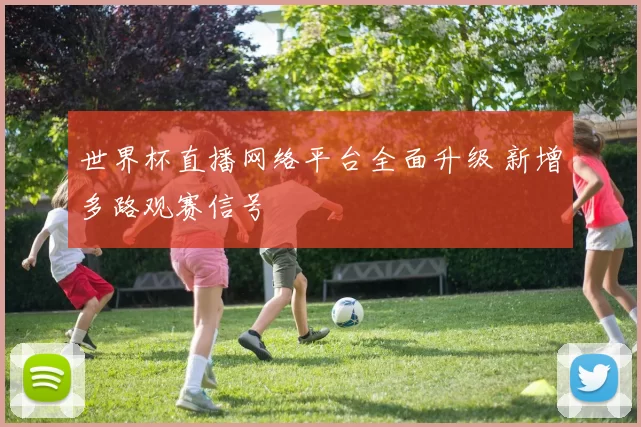 世界杯直播网络平台全面升级 新增多路观赛信号