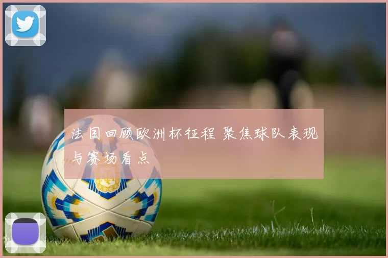 法国回顾欧洲杯征程 聚焦球队表现与赛场看点