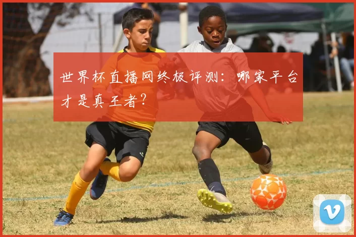 世界杯直播网终极评测：哪家平台才是真王者？