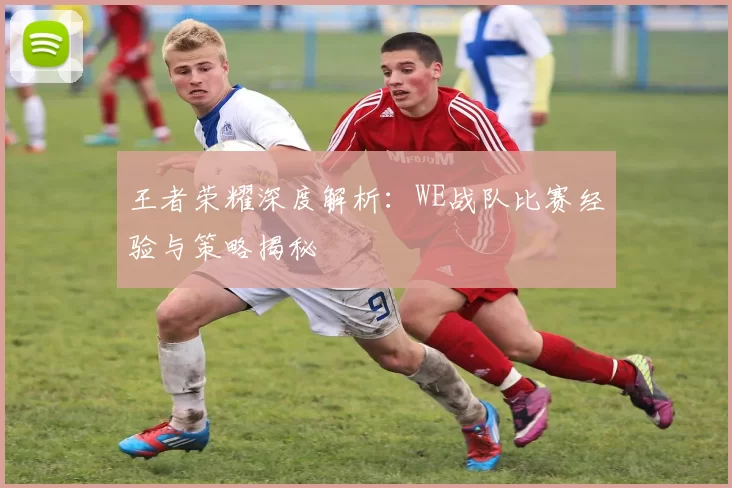 王者荣耀深度解析：WE战队比赛经验与策略揭秘