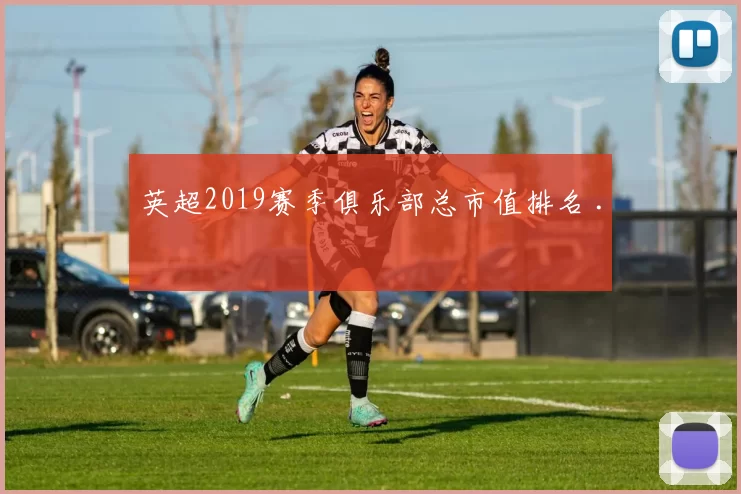 英超2019赛季俱乐部总市值排名 .