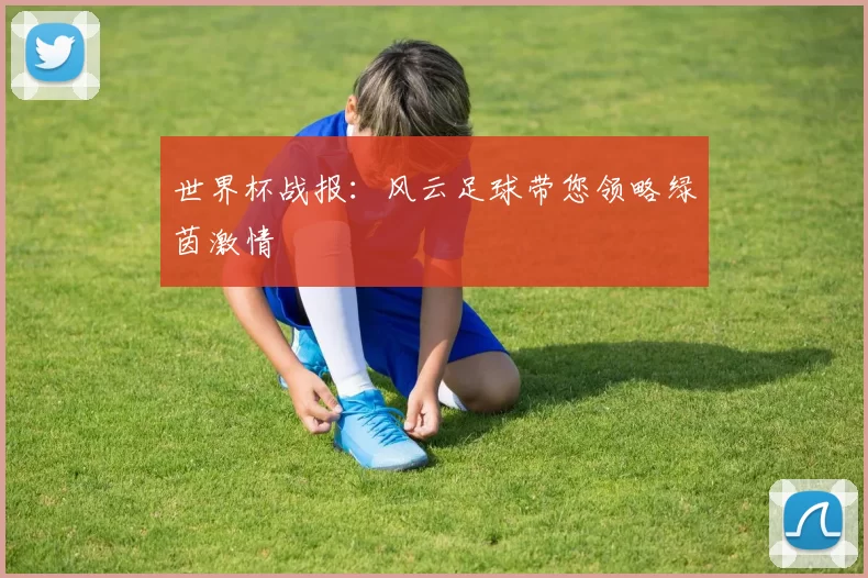 世界杯战报：风云足球带您领略绿茵激情