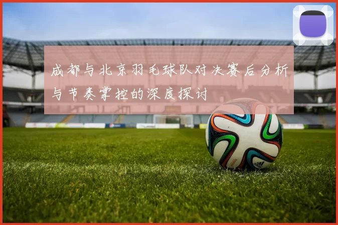 成都与北京羽毛球队对决赛后分析与节奏掌控的深度探讨