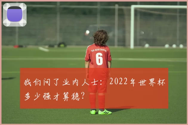 我们问了业内人士:2022年世界杯多少强才算稳?