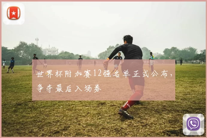 世界杯附加赛12强名单正式公布，争夺最后入场券