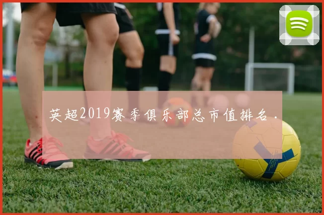 英超2019赛季俱乐部总市值排名 .