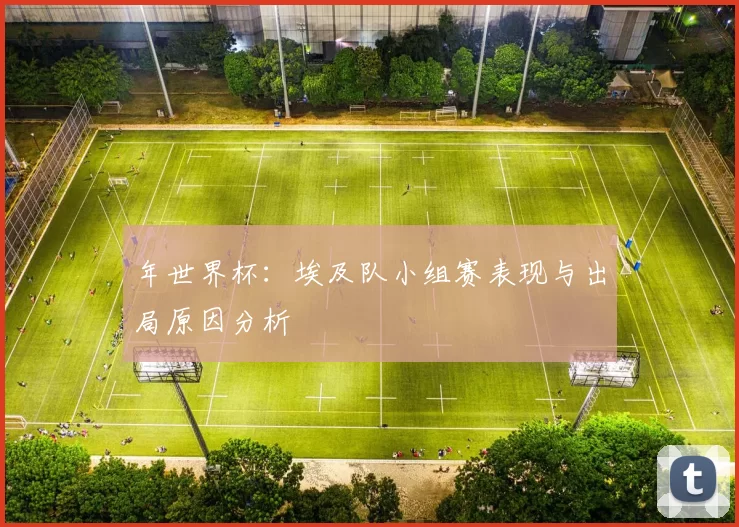 年世界杯:埃及队小组赛表现与出局原因分析