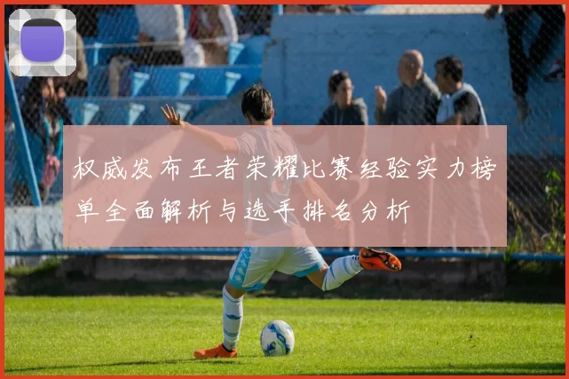 权威发布王者荣耀比赛经验实力榜单全面解析与选手排名分析