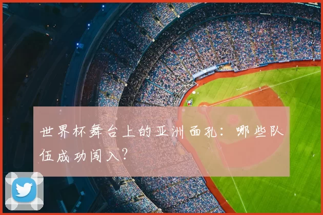 世界杯舞台上的亚洲面孔：哪些队伍成功闯入？