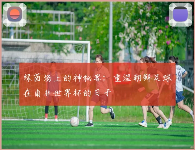 绿茵场上的神秘客：重温朝鲜足球在南非世界杯的日子