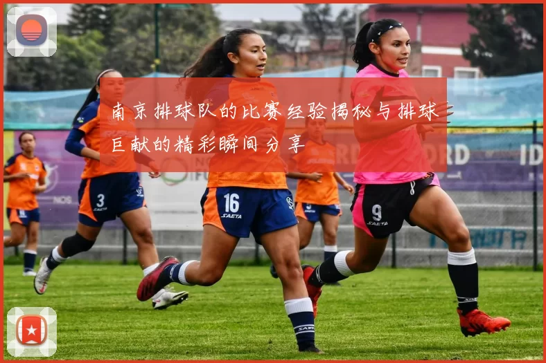南京排球队的比赛经验揭秘与排球巨献的精彩瞬间分享