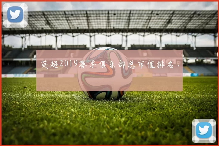 英超2019赛季俱乐部总市值排名 .