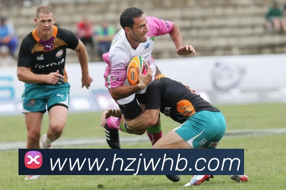 多媒体互动体验